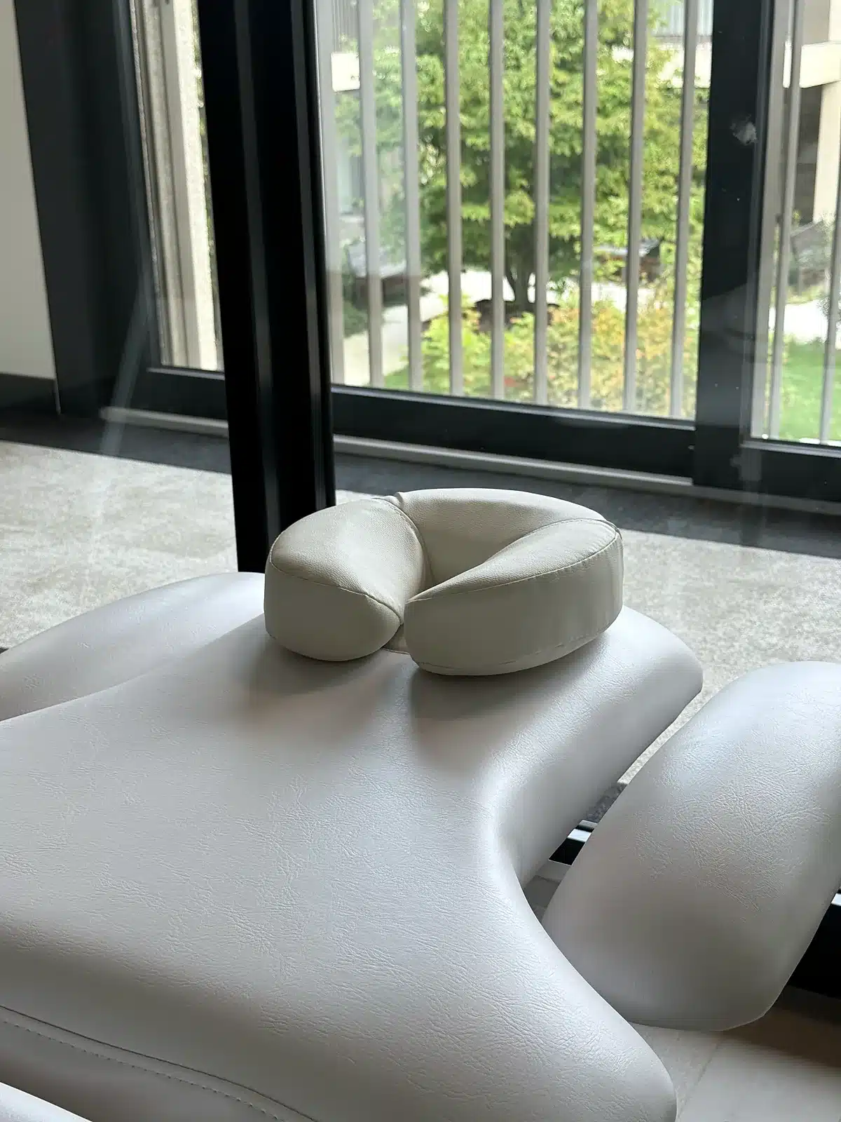Table de traitement face au jardin de la Résidence du Parc des Crêts, Troinex